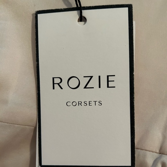 Rozie champagne sequin corset. Beautiful in perfect condition from Neiman Marcus - Picture 1 of 5